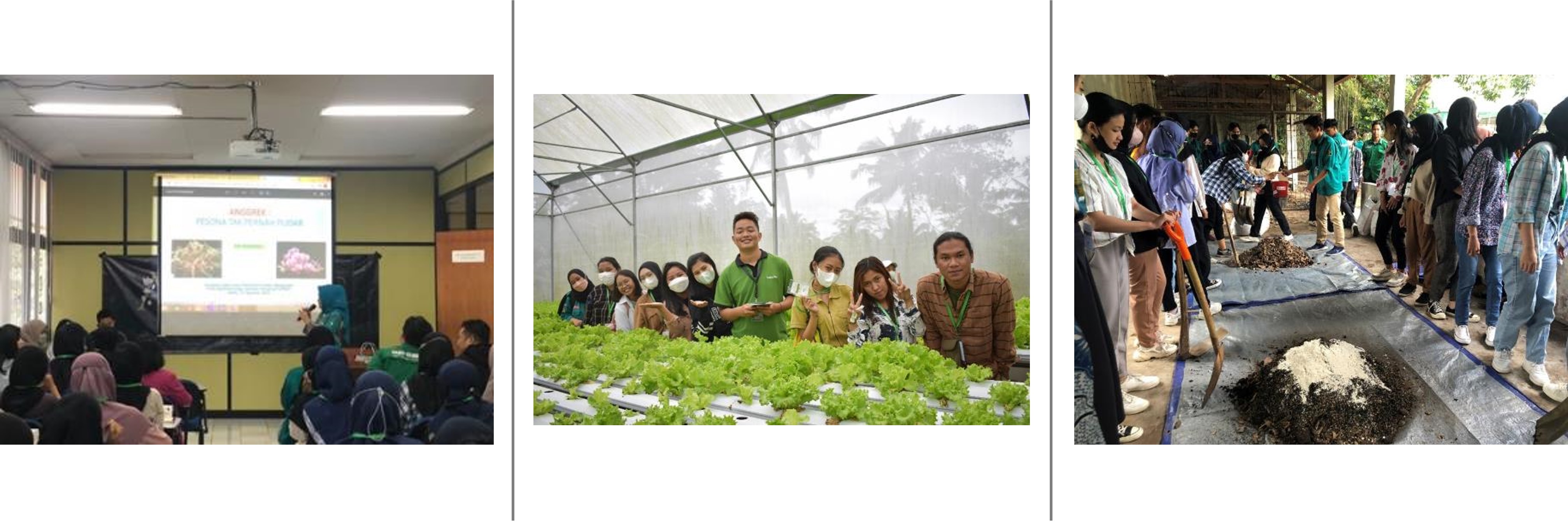 Program Studi Agroteknologi