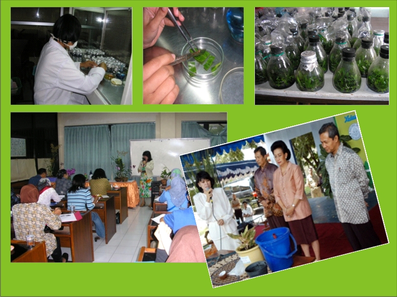 Pelatihan dan Kursus Tanaman Hias