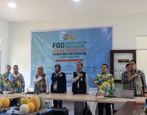 FGD dan Gelar Teknologi Budidaya Cabai, Bawang Merah, dan Melon Premium  di Kalimantan Tengah 