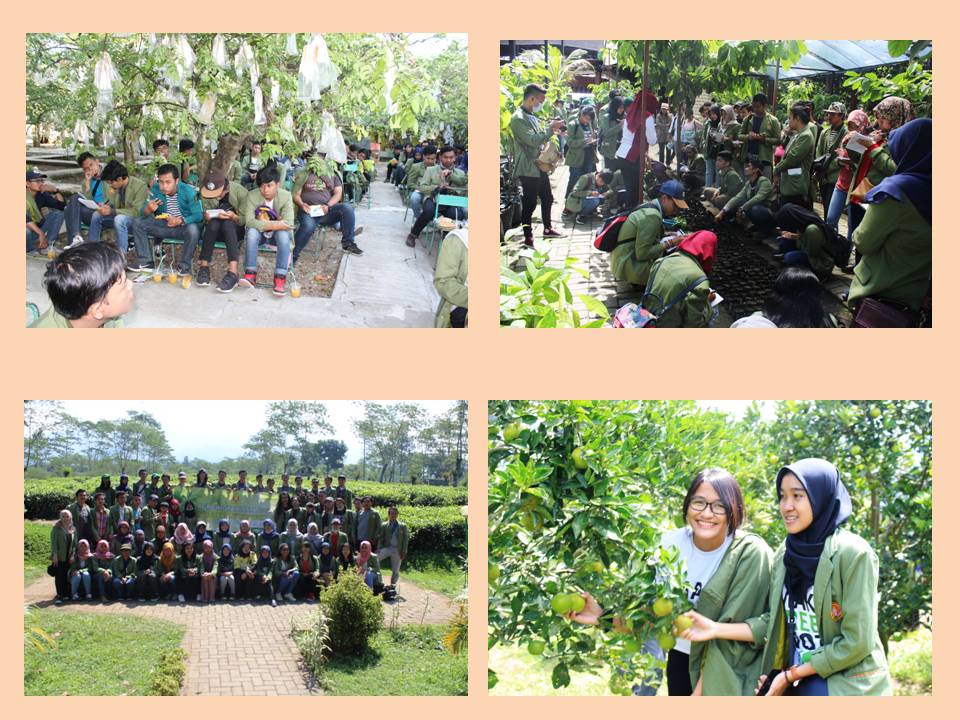 AGROWIDYAWISATA 2017 (JAWA TIMUR)