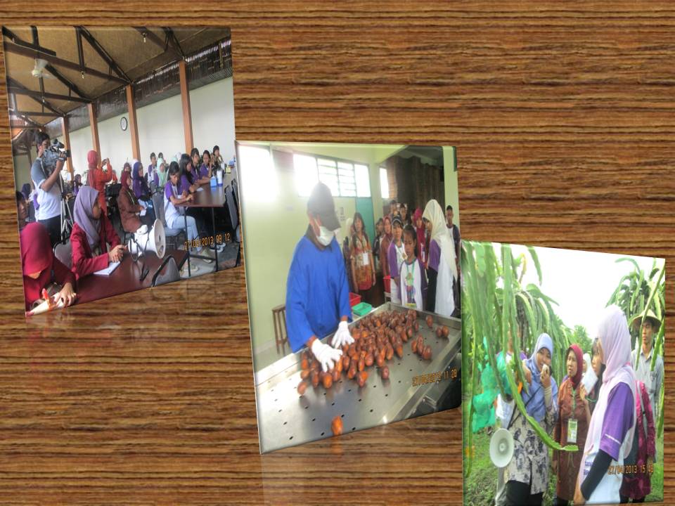 Edutour