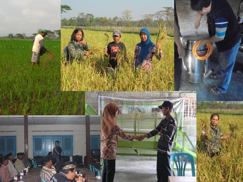 IbM Bagi Kelompok Ternak dan Kelompok Tani (Endah Budi Irawati, SP.MP, M. Th. Kristiati.EA, ST, MT, Suratno, SIP, M. AB)