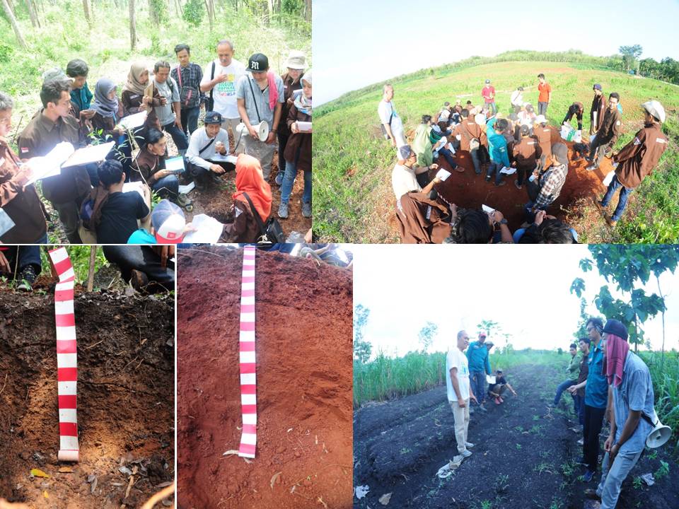 KULIAH LAPANGAN GEOGRAFI TANAH