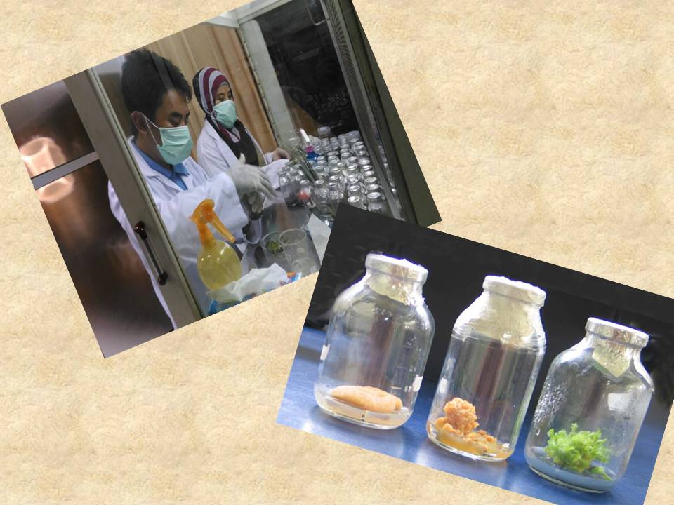 LABORATORIUM BIOTEKNOLOGI