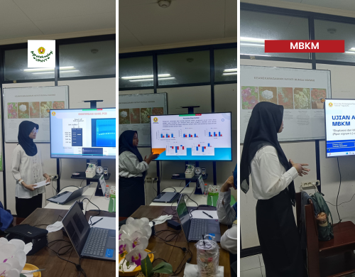 MBKM MANDIRI: SITE SPECIFIC MICROORGANISMS CONSORTIUM PROGRAM MENGENDALIKAN OPT PADA LADA
