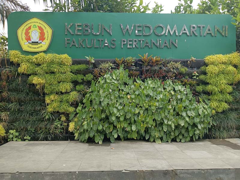 Kebun Praktik FP sebagai Kebun Koleksi Tanaman