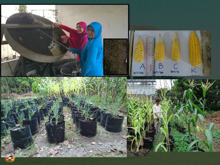 IbM KELOMPOK TERNAK DI KECAMATAN SLEMAN: PEMBUATAN KOMPOS BERKUALITAS DARI LIMBAH KANDANG TERNAK SAPI DENGAN PENAMBAHAN GUANO PHOSFAT